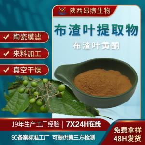 布渣叶提取物保健食品原料备案布渣叶黄酮工厂现货批发布渣叶粉