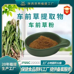 车前草提取物保健食品原料备案车前草粉 实力工厂现货批发车前草提取物粉末