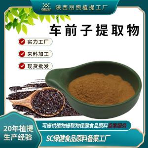 车前子提取物保健食品原料备案车前子粉 工厂现货批发车前子提取物粉末