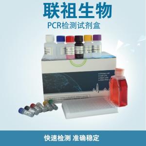 荧光定量pcr