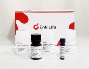 Polymer-HRP Anti-Mouse/Rabbit IHC Detection System(DAB solution）