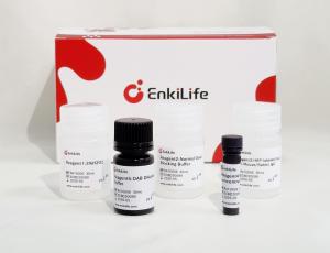 HRP Anti-Mouse/Rabbit IHC Detection System(DAB solution）
