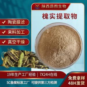 槐实提取物保健食品原料备案槐实粉 实力工厂现货批发槐实提取物粉末