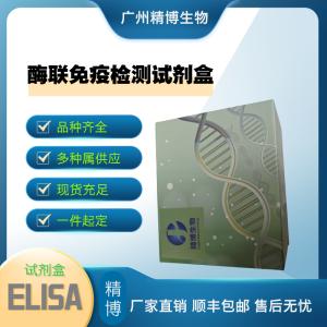 人淋巴毒素β（LTB）ELISA检测试剂盒 产品图片
