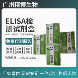 人粒细胞趋化蛋白-2（GCP-2/CXCL6）ELISA检测试剂盒 产品图片