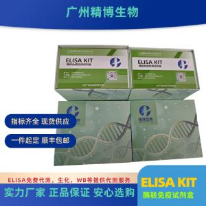 人B-淋巴细胞趋化因子1（BLC-1/CXCL13）检测试剂盒 产品图片