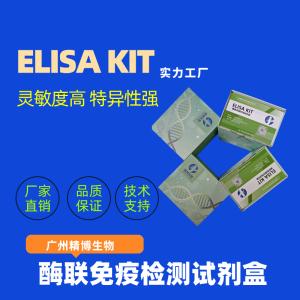 人免疫球蛋白AFc段受体Ⅰ（FcαRⅠ/CD89）ELISA检测试剂盒 产品图片