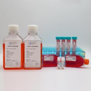 人胸腺激酶缺陷细胞143B
