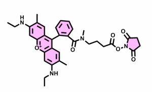 ATTO Rho6G-NHS CAS号:2245700-42-7顺丰发货,常备现货 可按需分装,助力科研-高校及研究所,支持货到付款,质量保证!!!