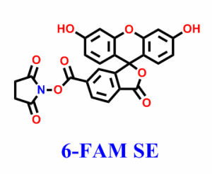 6-羧基荧光素琥珀酰亚胺醚 CAS 92557-81-8   顺丰发货，价格优惠，常备现货，可按需分装，助力科研及生产 高校及研究所 支持货到付款，质量保证！！！欢迎垂询购买