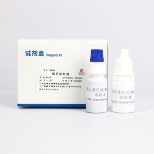 瑞氏染色液  	HB8286    5ml*8