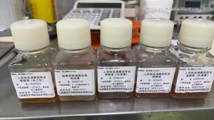 人去激素血清（甲功五项）、去维生素D3、去类固醇（性激素六项）阴性血清，产品备案号：晋长械备20240002，体外诊断试剂Ⅰ类 产品图片