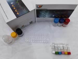 人活化素A(Activin-A)ELISA试剂盒 产品图片