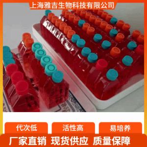 BaF3-fflu+EGFR稳转株 产品图片