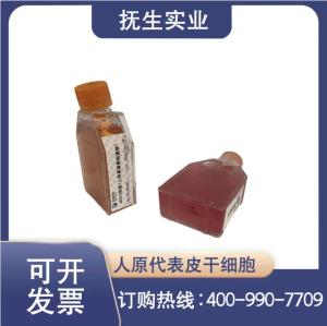 293T人胚肾细胞品牌 产品图片