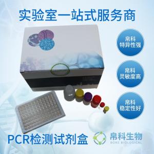蠟樣芽孢桿菌腹瀉型和嘔吐型雙重探針法熒光定量PCR 試劑盒