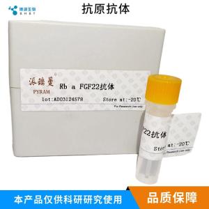 ALOX12 Rabbit pAb 产品图片