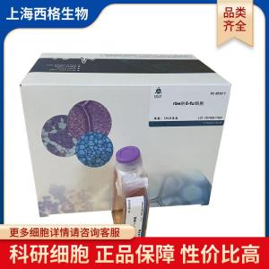 原代细胞 产品图片