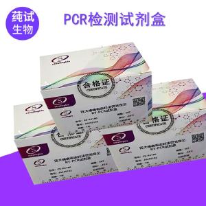 荧光探针含量PCR试剂盒 产品图片