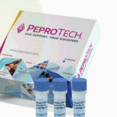 200-03-10ug人 IL-3 重组蛋白，PeproTech®