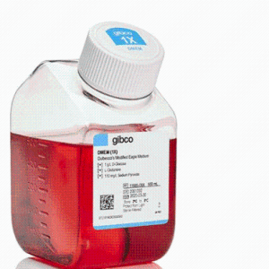 invitrogen  10567014 DMEM，低糖，含 GlutaMAX 添加剂，含丙酮酸盐