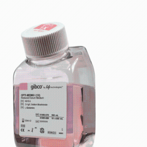 Gibco 31985070 Opti-MEM™ I 减血清培养基