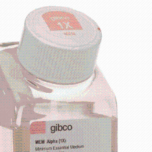 Gibco 41061029 MEM α，核苷，无酚红