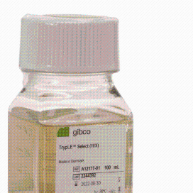  Gibco 50-4031-80大鼠 IgG2b kappa 同种型对照 （eB149/10H5），eFluor™ 660，eBioscience?