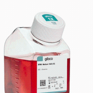 Gibco C11965500BT DMEM basic（1X）培养基