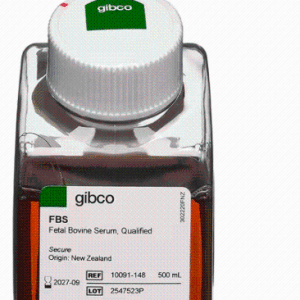 Gibco 26050088马血清，热灭活，新西兰来源