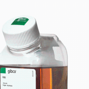 Gibco  12676029