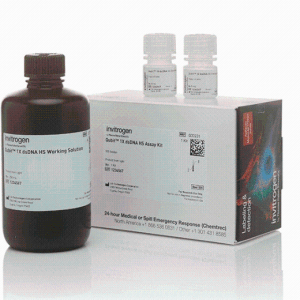 Gibco Q33231Qubit™ 1X dsDNA 高灵敏度 (HS) 和宽范围 (BR) 定量试剂盒