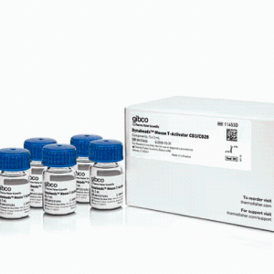 Gibco 11453D用于 T 细胞活化/扩增的 Dynabeads™ 小鼠T活化剂CD3/CD28