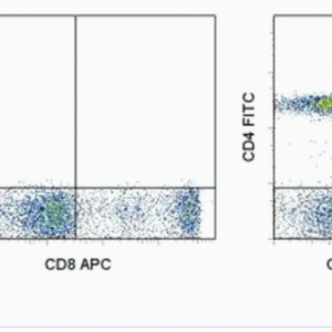 25-0567-42CD56 （NCAM） 单克隆抗体 （CMSSB）、PE-花青7、eBioscience™