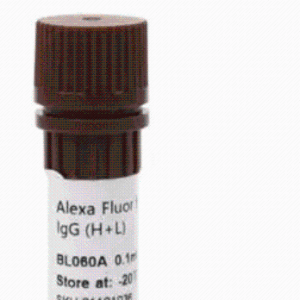 GibcoA48277山羊抗人 IgG （H+L） 交叉吸附二抗，Alexa Fluor™ Plus 555
