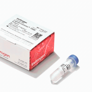 Gibco 11668019Lipofectamine™ 2000 转染试剂