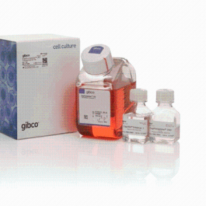 Gibco A14524ExpiFectamine™ 293 转染试剂盒