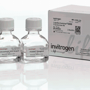 Invitrogen L3000150Lipofectamine 3000 转染试剂