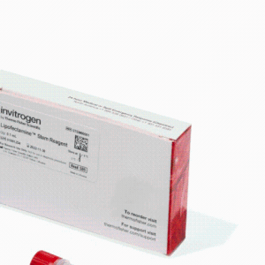 Invitrogen  STEM00001Lipofectamine 干细胞转染试剂