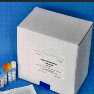 Invitrogen  K0441TranscriptAid T7 高产率转录试剂盒
