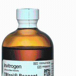 invitrogen  15596026 TRIzol  试剂