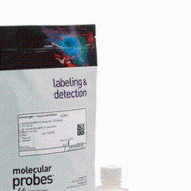 Invitrogen  Q32851Qubit dsDNA 定量试剂盒