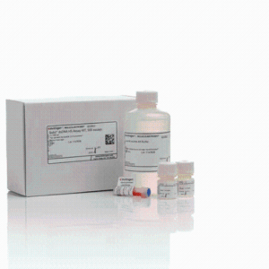 invitrogen  Q32854 Qubit dsDNA 定量试剂盒
