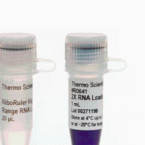 invitrogen   SM1821RiboRuler 高范围 RNA 分子量标准