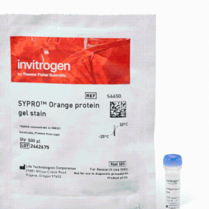 invitrogen  S6651 SYPRO Ruby 蛋白凝胶染色剂