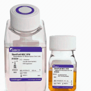 Gibco A1033201StemPro™ MSC SFM