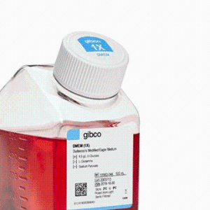 Gibco 10828028KnockOut™ 血清替代物