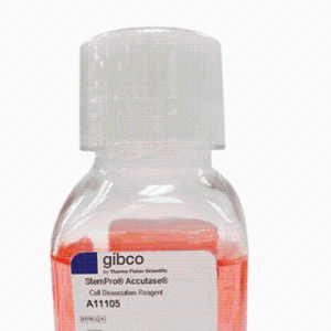 Gibco A1110501StemPro™ Accutase 细胞解离试剂