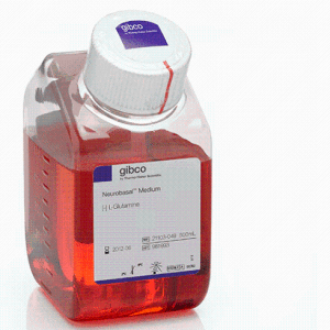 Gibco 21103049 Neurobasal™ 培养基