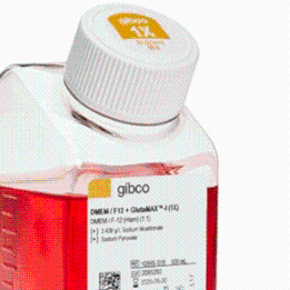 Gibco 10565042 DMEM/F-12，GlutaMAX™ 添加剂